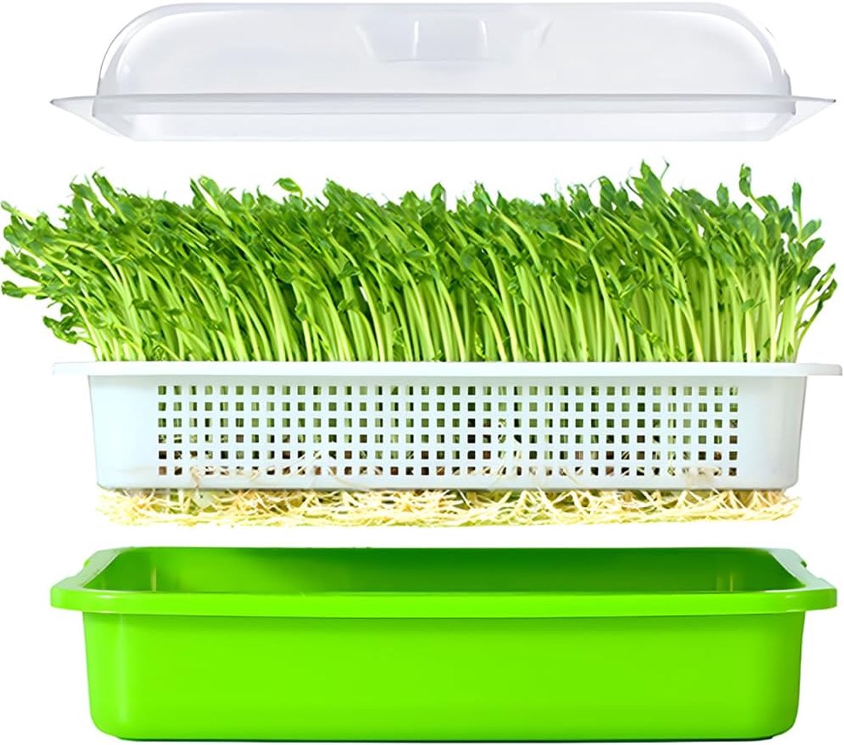 Zaaitrays - kweekbak voor zaaitray - Kweekbak Zaaibak Kweektray Stektray - Zaailingen Tray - Zaadkiemtray met Afvoergaten - Grote Capaciteit Kweekbak voor Tarwegra - 32x12x25cm
