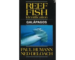 Reef Fish Identification Galapagos