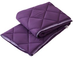 Hoesloos Dekbed - 240x220cm – Wasbaar, Ademend en Zacht – Paars / Lavendel
