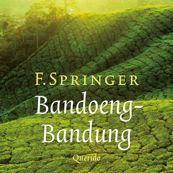 Boekcover met de titel Bandoeng-Bandung, tegen een achtergrond van glooiende, groene theeplantages.