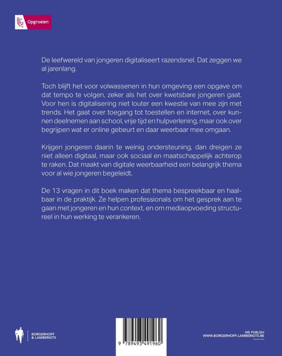 Kwetsbare jongeren begeleiden in een digitale wereld - back cover