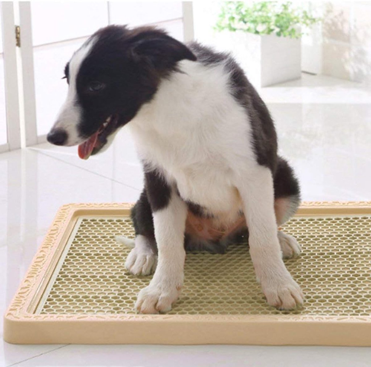 Hondentoilet Puppy Toilet - Trainingsonderlegger Zindelijkheidstrainer - Zindelijkheidstraining Honden - Afneembare Zuil - 48 x 32 cm - Koffie