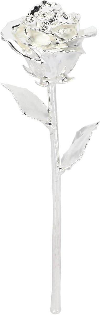 Rozen Cadeau - Eeuwige Roos - Cadeau Geven - 24-karaats Verguld - 5 cm - Zilver