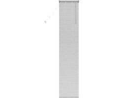 Raamblind Aluminium - Venetiaanse jaloezieën - Privacy en lichtcontrole - Matte afwerking - 40 x 220 cm - Zilver