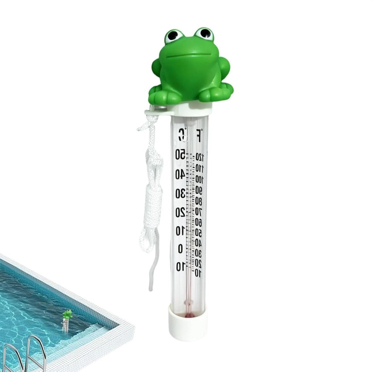 Zwembad Thermometer - Watertemperatuurmeter - Water Meten - Drijvend Kikker Design - 28.5 cm - Groen