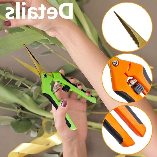 2 stuks Oogstschaar met Gebogen Titanium Gecoate Bladen Snoeischaar voor Tuin Bonsai Bloemen Planten Oogst Fruit Boeket Rozenschaar (2stuks-Gebogen+Titanium) — afbeelding 2