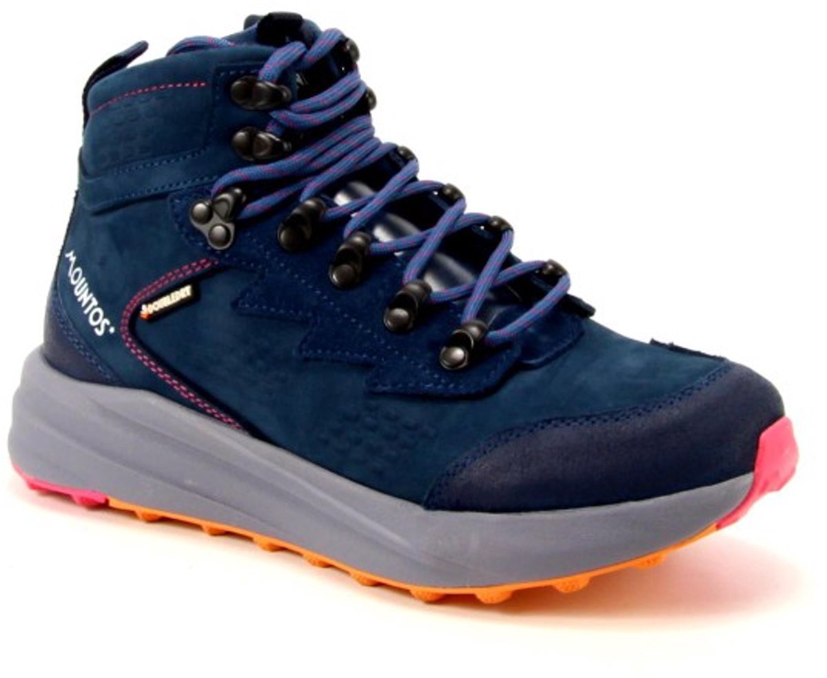 724101 529 Blauw