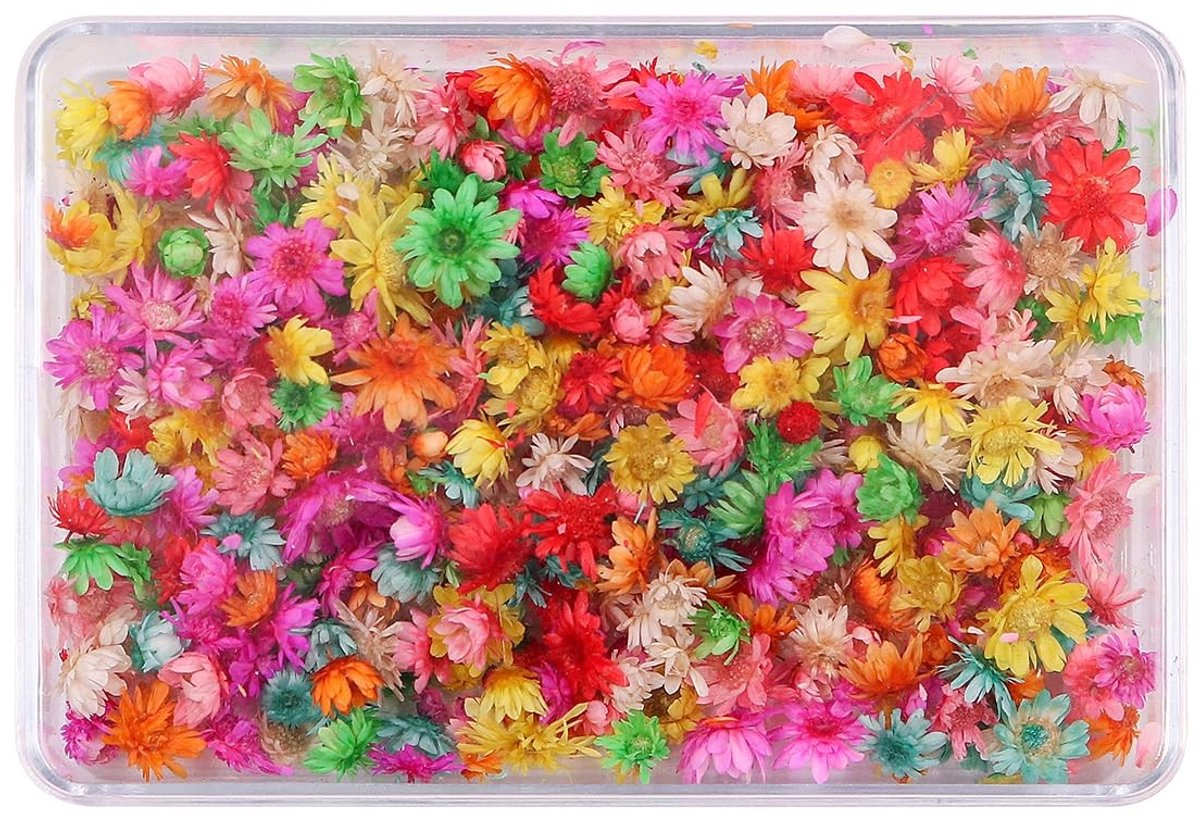 Allecto - Natuurlijke mini-droogbloemen - Gedroogde bloemen voor sieraden - Kleurrijk - DIY decoraties - Perfect voor kaarsen en kaarten