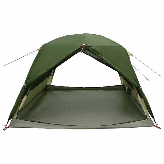vidaXL - Backpacking - Tent - 2-persoons - Groen - 185T - Polyester - met - PU - Coating van Vidaxl — afbeelding 3
