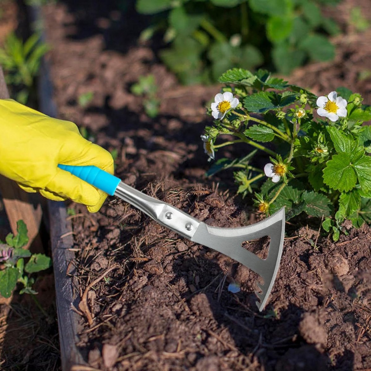 Onkruidsteker Tuin - Wortelverwijderaar - Onkruid Verwijderen - Roestvrij Staal - 30 cm Lengte - Zilverkleurig