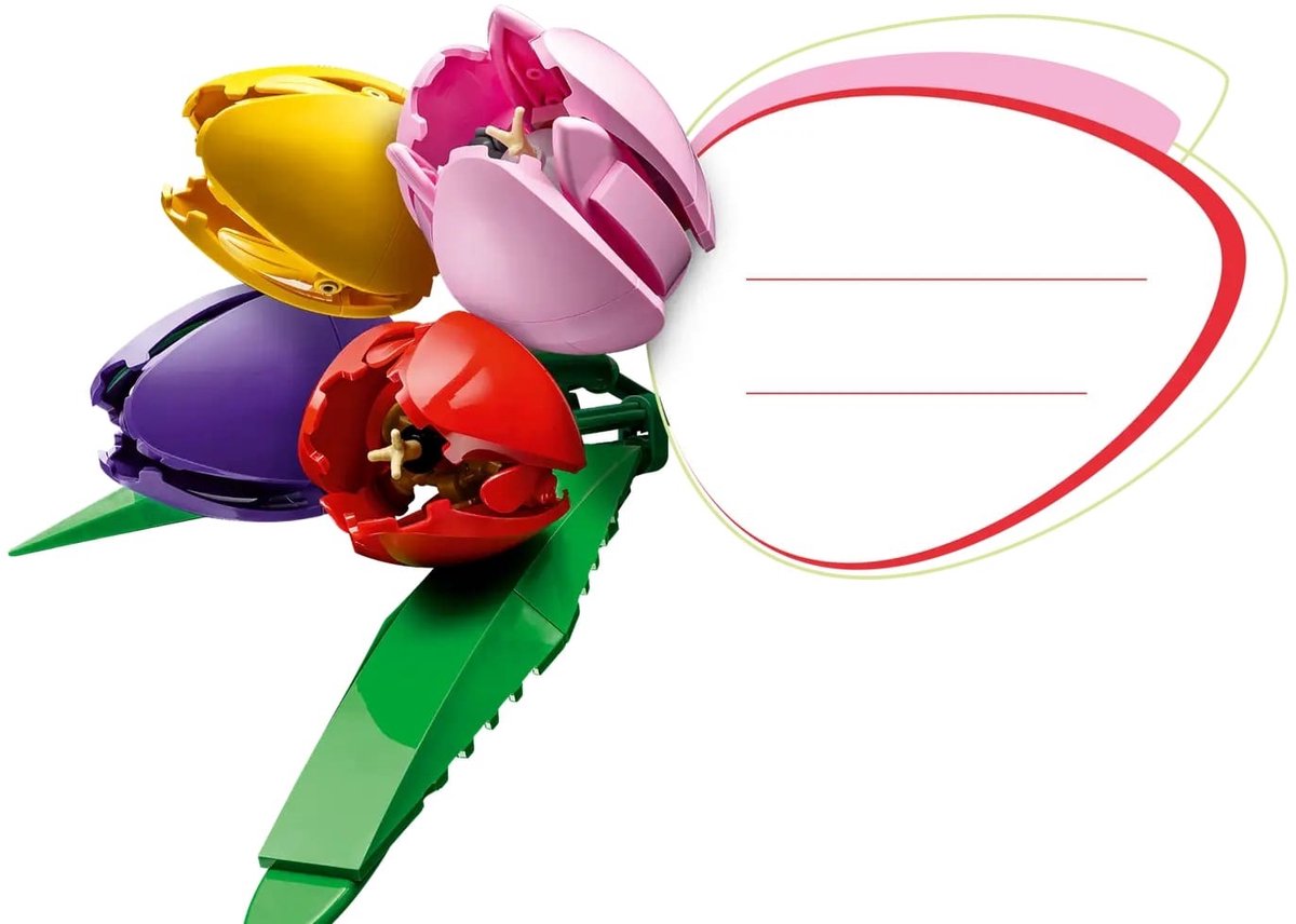 LEGO® Botanicals Boeket met Tulpen Bloemendecoratie - 11501 — afbeelding 3