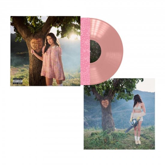 Un disque vinyle rose avec Olivia Rodrigo sur la pochette, debout dans un arbre avec l'inscription 'You seem pretty sad for a girl so in love'.