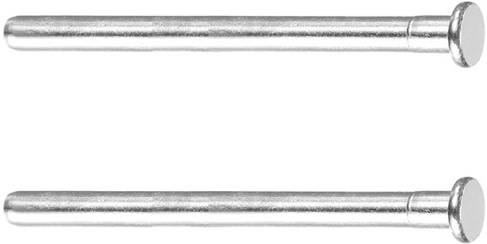 Twee zilverkleurige, gladde scharnierpennen op een witte achtergrond.