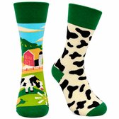 Tutti Footi – Verschillende Sokken met Koeienprint & Boerderij – Maat 36-40 – Koeien/Zwart-Wit/Groen