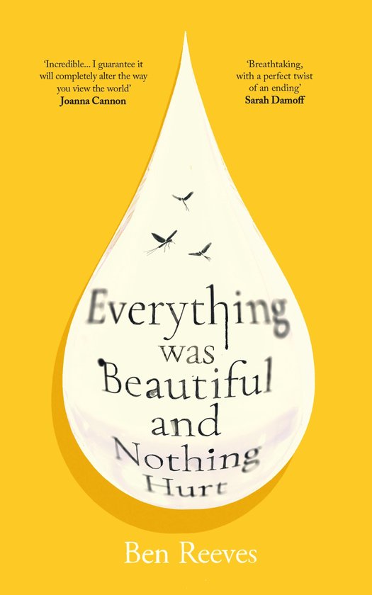 Everything was Beautiful and Nothing Hurt - cover