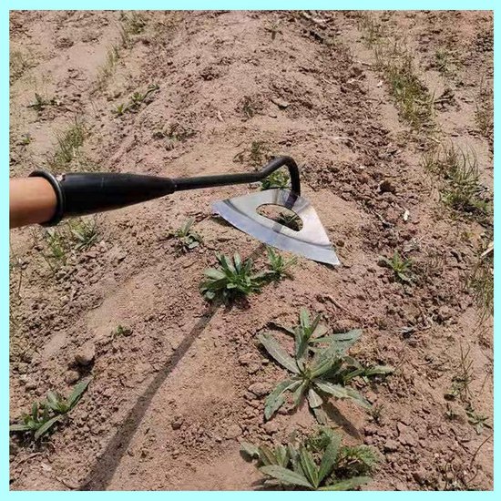 Dailygoody - Handheld wieden hark - Tuingereedschap - Duurzaam en sterk - Holle schoffel - Ideaal voor tuin en boerderij - Voor planten en groenten van Merkloos	 — afbeelding 4