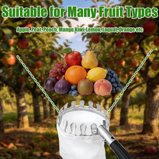 Fruitplukker Telescoopsteel - Appelplukker Kersenplukker - Fruit Oogsten - Uittrekbaar tot 32 meter - 16 cm diameter - Zilver — afbeelding 3
