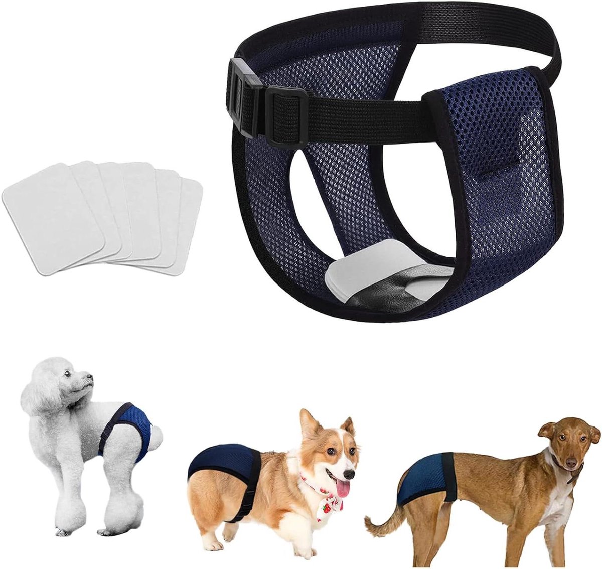 Hondenmenstruatiebroek - Hondenbroek Hondenslipje - Hond Zindelijk Houden - Ademend en Lichtgewicht - Taille 35-43 cm - Blauw