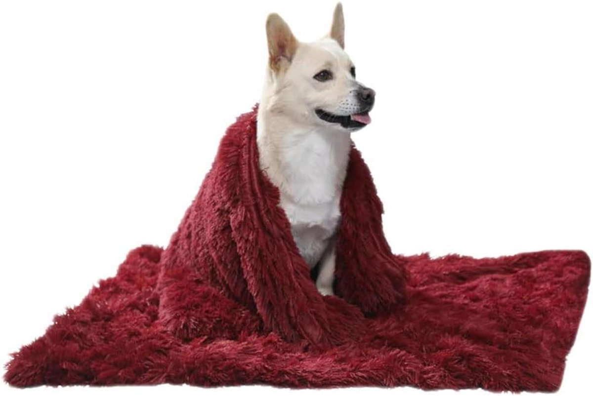 Pluizige Hondendeken - Huisdier Plaid - Huisdier Comfort - Dubbelzijdige Pluche - 56x36cm - Rood