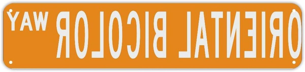 Straatnaambord Metaal - Gepersonaliseerd Bord - Huis Decoratie - Oosters Tweekleurig Design - 45 x 10 cm - Style-4