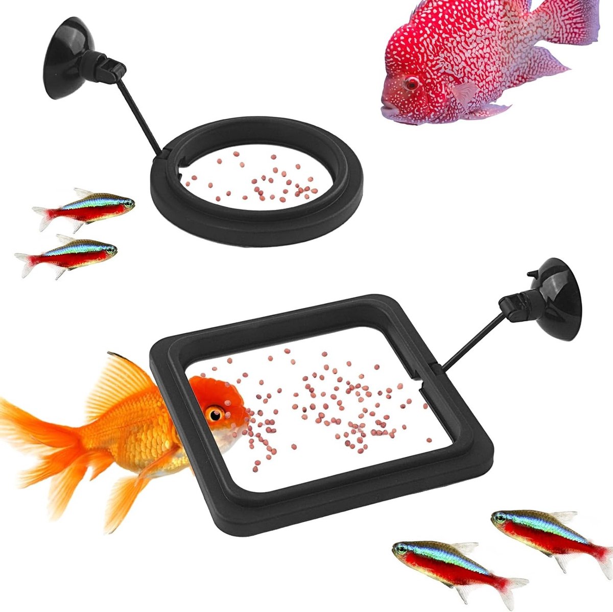 Praktische ronde drijvende voederringen voor aquaria, voorkomt waterverplaatsing en filtervervuiling, ideaal voor guppy's en kleine vissen, 2 stuks