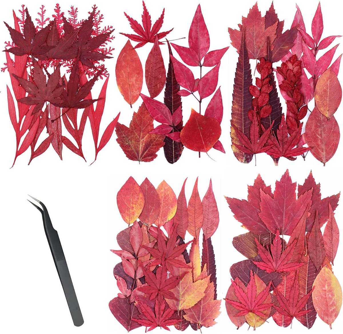 Allecto Plus - Natuurlijke Gedroogde Rode Esdoornbladeren - 73 stuks - Gedroogde Bloemen voor Hars en Kaarsen