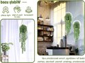 Deux plantes vertes retombantes à feuilles rondes dans des anneaux, dans un intérieur.
