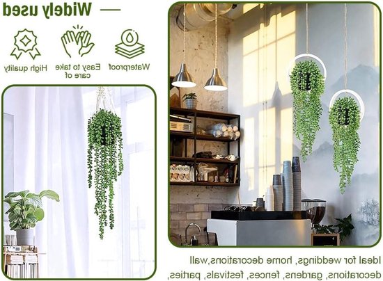 Deux plantes vertes retombantes à feuilles rondes dans des anneaux, dans un intérieur.