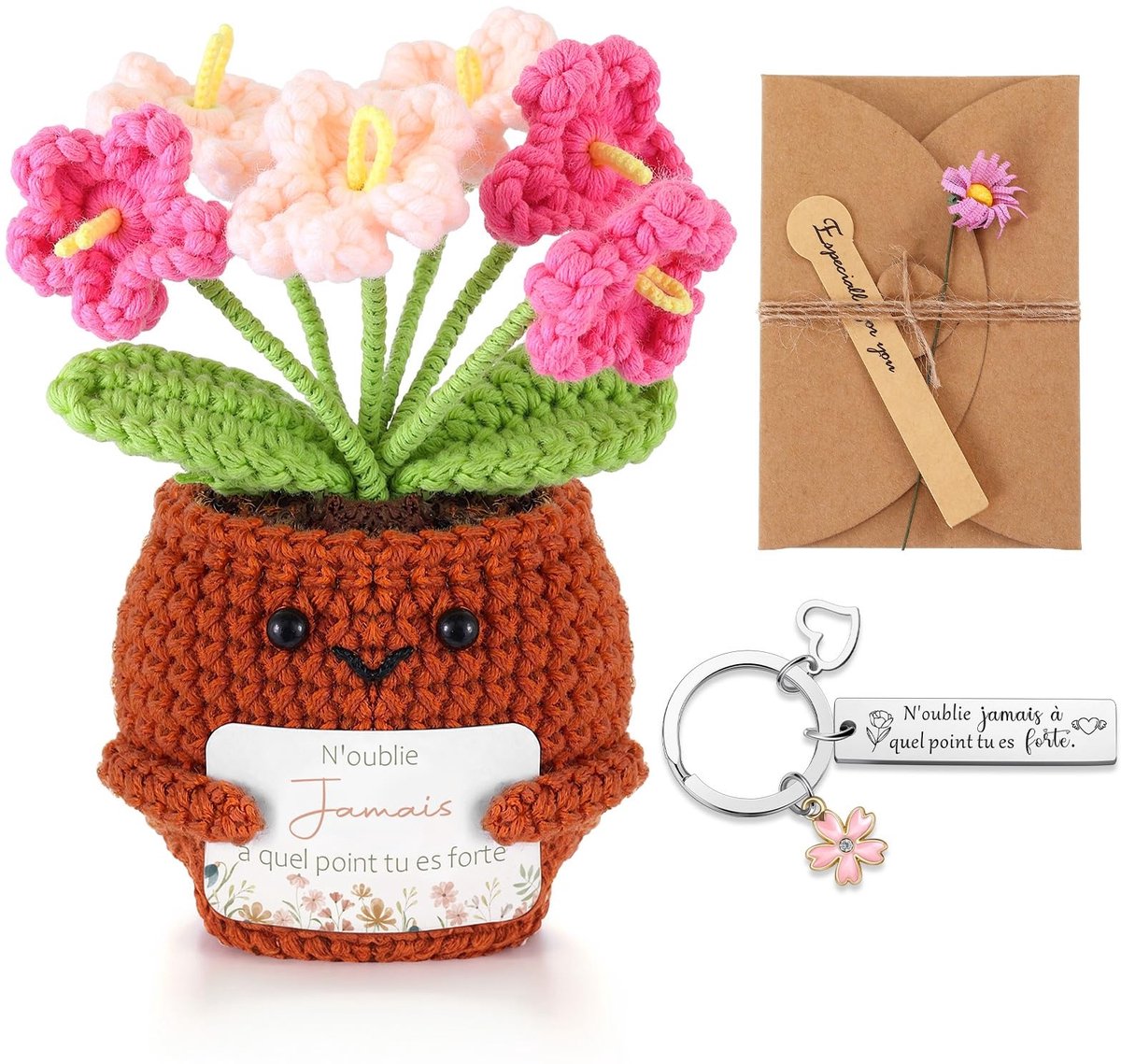 Dailygoods- Aanmoedigingsgeschenkset - Gehaakte Potplant - Sleutelhanger van Roestvrij Staal - Wenskaart van Kraftpapier - Veelkleurig - 11 x 6 cm - Cadeauset