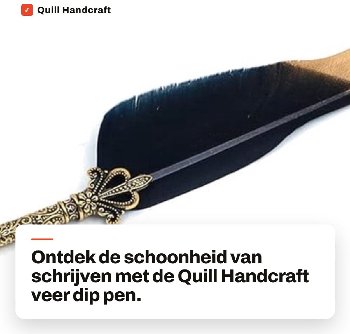 Dailygoods- Dip Pen - Kalligrafie Pen Set - 5 Extra Penpunten - Metalen Penpunt - Handgemaakt - Uitstekende Controle - Kalligrafiepen
