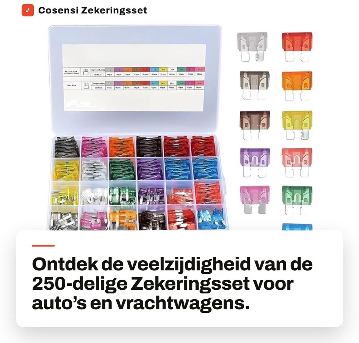 Dailygoods - Zekeringsset Auto - Assortiment Autozekeringen - Voor Auto's en Vrachtwagens - 250 Stuks - Inclusief Opbergkoffer - Veelkleurig