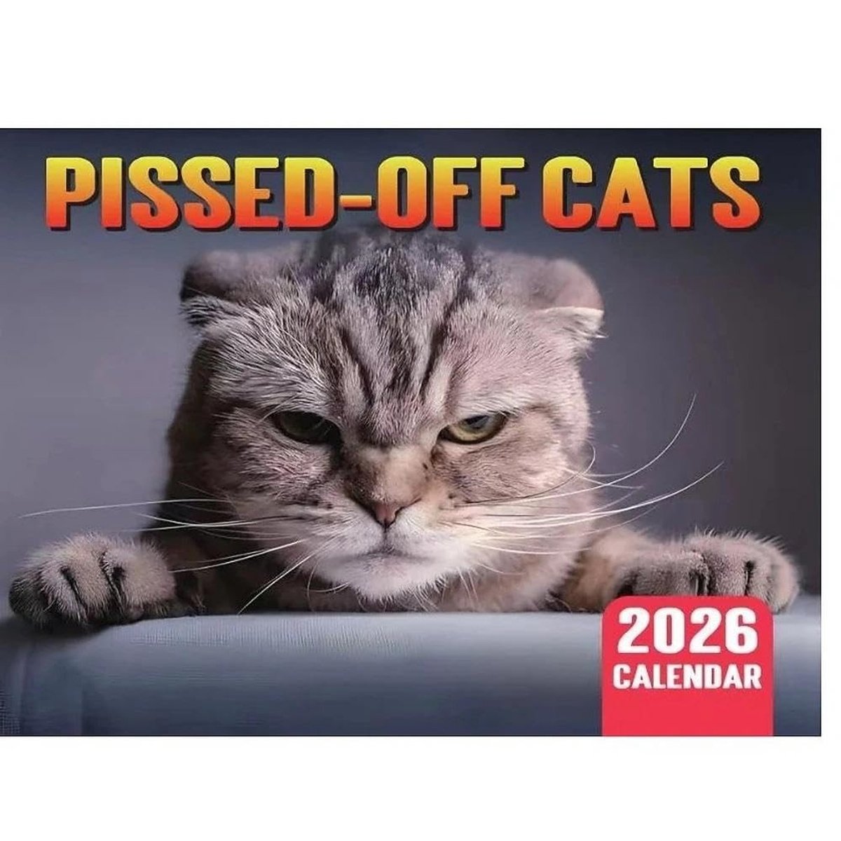 Dailygoods- Kattenkalender 2026 - Boze Katten - Grappige Wandkalender - Maandplanner - Schattige Kattenfoto's - Praktische Keuze