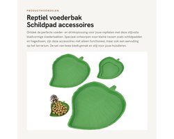 Dailygoods- Voederbak - Bladvormig - Set van 2 - Kunststof - Klein/Groot formaat - Voor reptielen en knaagdieren - Dierenkom