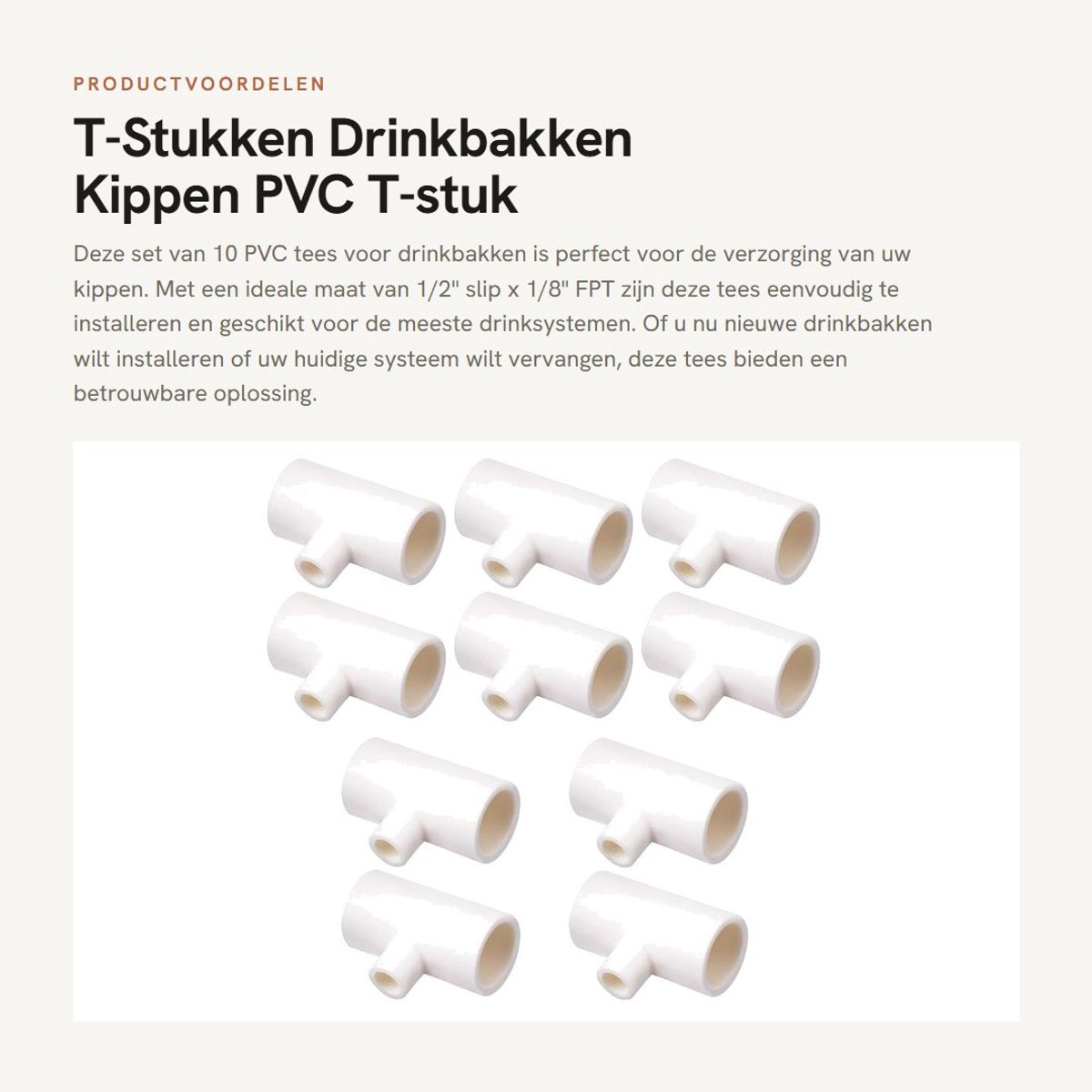 Dailygoods- T-Stuk 10 Stuks - PVC Drinkbakken Kippen - 1/2" Slip x 1/8" FPT - Duurzaam - Eenvoudig te Installeren - Wit - PVC Fitting