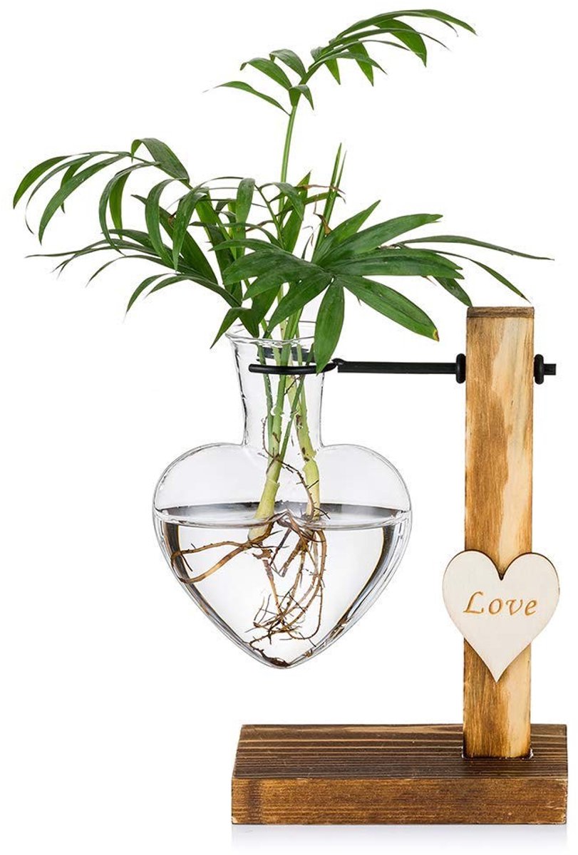 Dailygoods- Glazen Vaas Hartvormig - Houten Standaard - Plantenbak - Hydrocultuur - Vintage Decoratie - Hoog Boorsiliciumglas - Plantenvaas