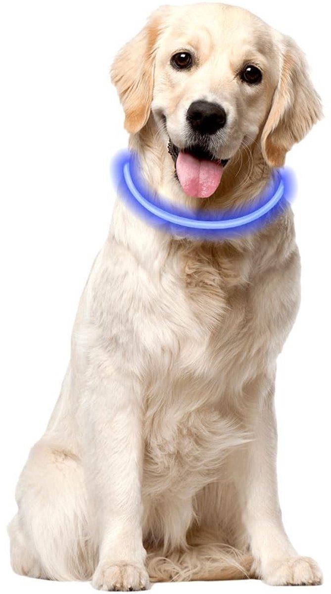 Dailygoods - Oplaadbare Lichtgevende Hondenhalsband met 3 Verlichtingsmodi