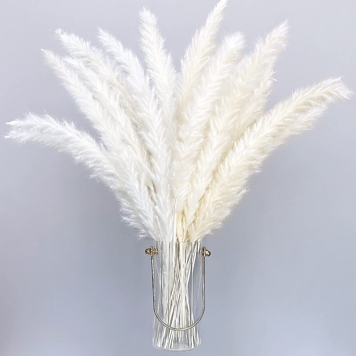 Dailygoods- Pampasgras 30 stuks - Gedroogd - 40 cm - Boho Decoratie - Natuurlijke Pluimen - Niet-giftig - Gedroogde Bloemen