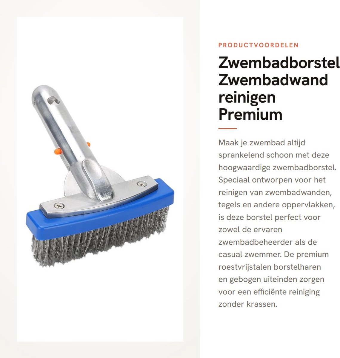 Dailygoods- Zwembadborstel 5,5 Inch - Roestvrij Stalen Borstelharen - Gebogen Uiteinden - Hoogefficiënte Zwembadreinigingsborstel - Lichtgewicht 168 g - Zwembadreiniger