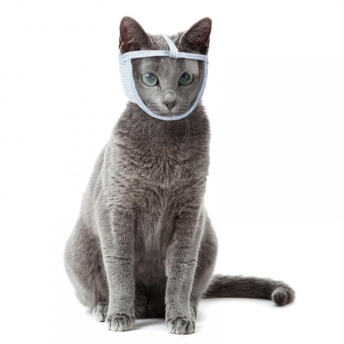 Dailygoods- Muilkorf Ademend - PVC Muilkorf - Katten Muilkorf - Veiligheidsmasker - Kattenverzorging - Comfortabel Ontwerp - Kattenmuilkorf