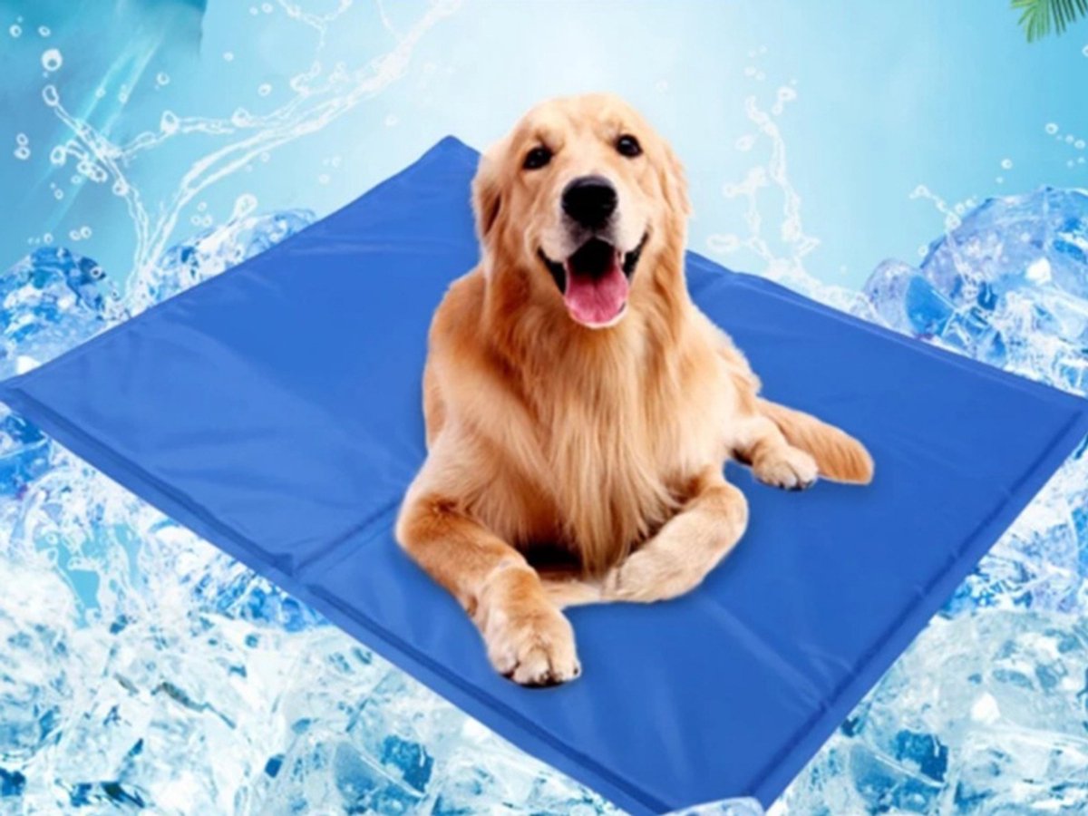 Waterdichte Koelmat voor Hond en Kat 50x40 cm – Zelfkoelende Gel Mat voor Huisdieren – Antislip & Opvouwbaar – Verkoelende Ligmat voor Hond, Kat en Andere Dieren – Reisvriendelijk & Eenvoudig te Reinigen – kattenbed zomer – Blauw – 31569 – foto 2