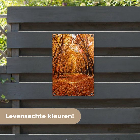 Affiche de jardin - Automne - Forêt - Feuilles - Oranje - 40x60 cm - Décoration de jardin - Toile jardin