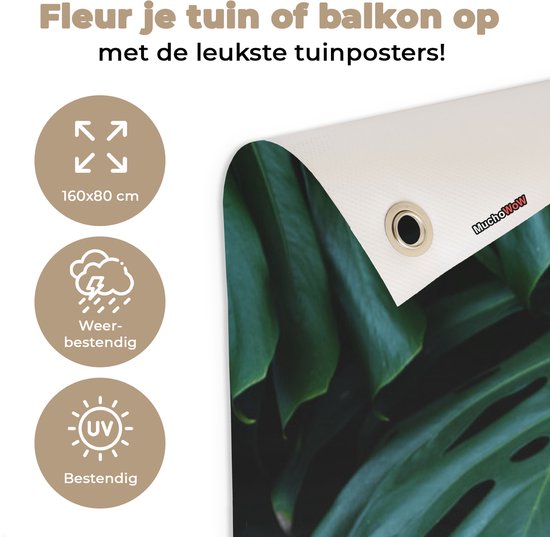Tuinposter 160x80 cm - Tuindecoratie Jungle - Bladeren - Design - Poster voor in de tuin - Buiten decoratie - Schutting tuinschilderij - Tuindoek muurdecoratie - Wanddecoratie balkondoek