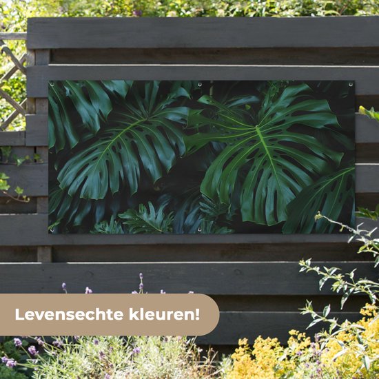 Tuinposter 160x80 cm - Tuindecoratie Jungle - Bladeren - Design - Poster voor in de tuin - Buiten decoratie - Schutting tuinschilderij - Tuindoek muurdecoratie - Wanddecoratie balkondoek