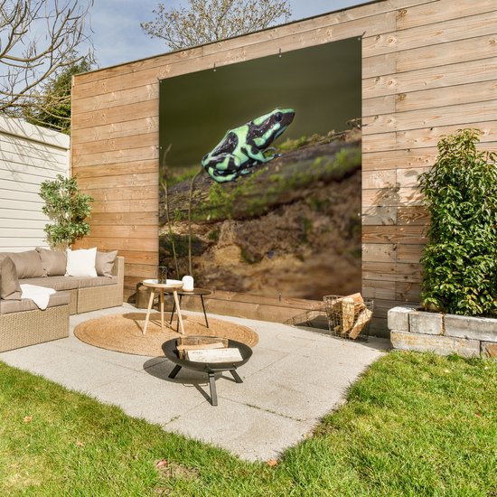 Groene pijlgifkikker met zwarte patronen op een mosbegroeid stuk hout, hangend in een tuin met loungebank en vuurkorf.