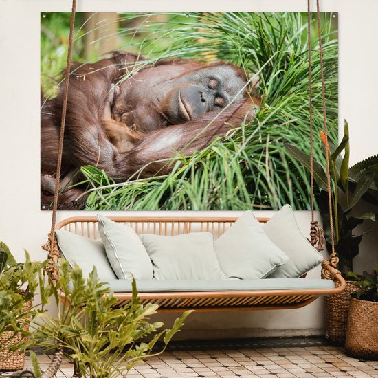 Tuinposter 180x120 cm - Tuindecoratie Aap - Jong - Gras - Slapen - Poster voor in de tuin - Buiten decoratie - Schutting tuinschilderij - Tuindoek muurdecoratie - Wanddecoratie balkondoek