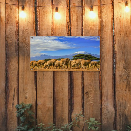 Poster de jardin Eléphant - Berg - Tanzanie - 80x40 cm - Décoration murale Outdoor - Poster de jardin - Toile de jardin - Poster de clôture - Tableau de jardin