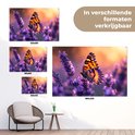 Een vlinder met oranje, zwart en paarse vleugels zit op paarse lavendel. De achtergrond is oranje en vervaagd. Verschillende formaten verkrijgbaar.
