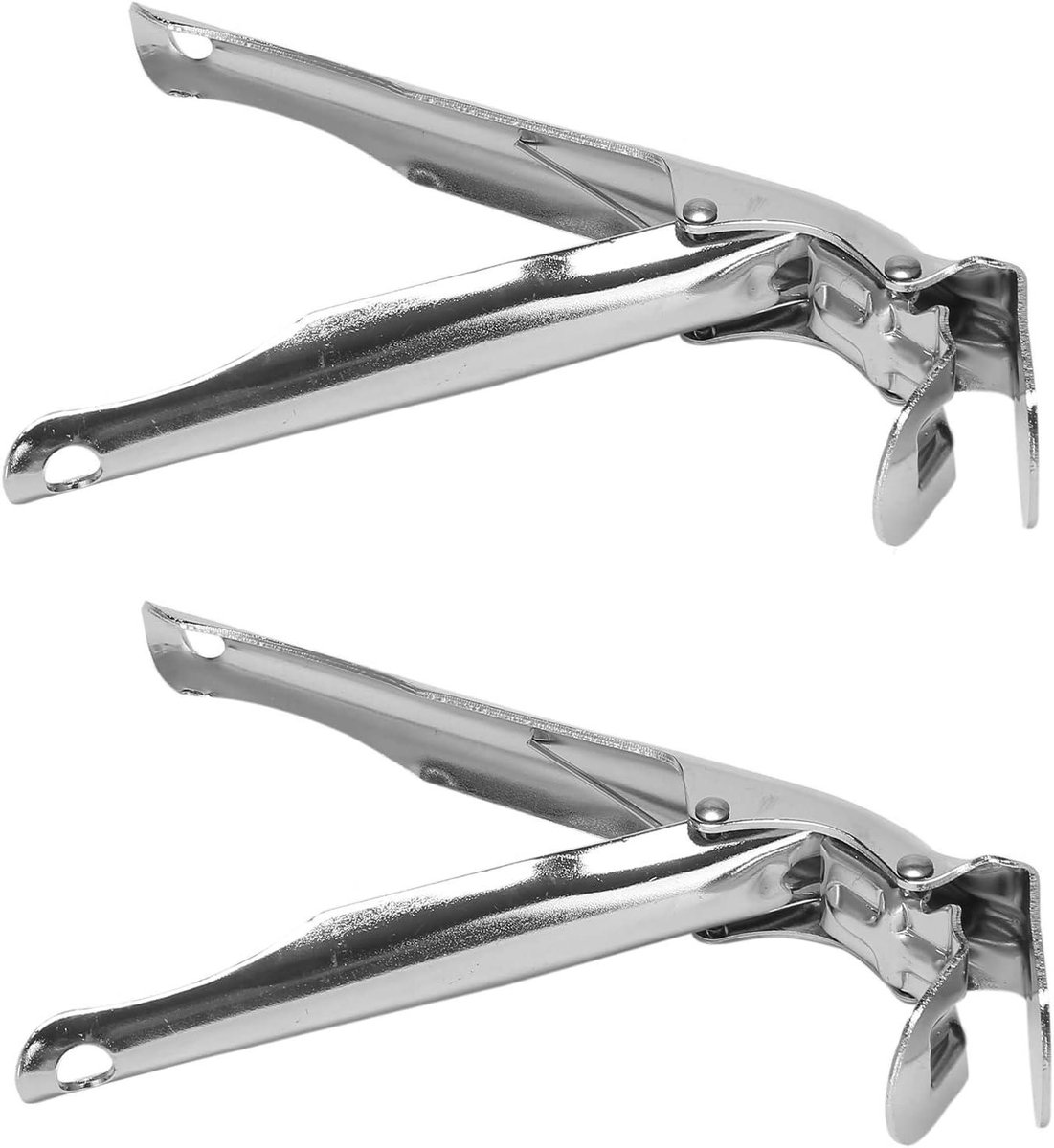 Grillrooster Lifter - Grill Tang - Grill Accessoire - Anti-verbranding - 20.5 x 11.5 cm - Zilver