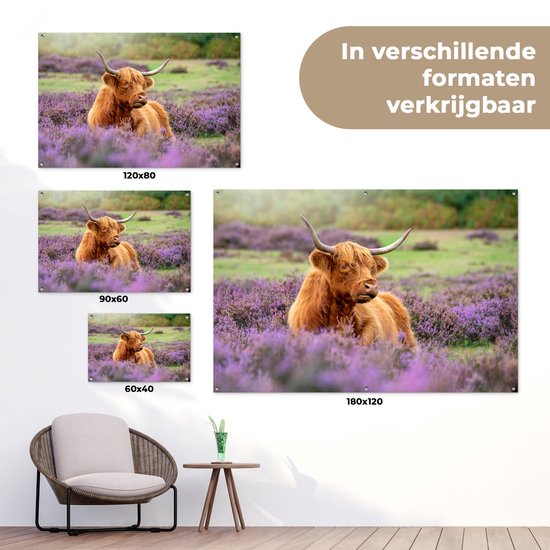 Un montagnard écossais se trouve parmi les fleurs violettes.Affiche de jardin 120x80 cm - Toile de jardin / Toile d'extérieur / Peintures d'extérieur (décoration de jardin)