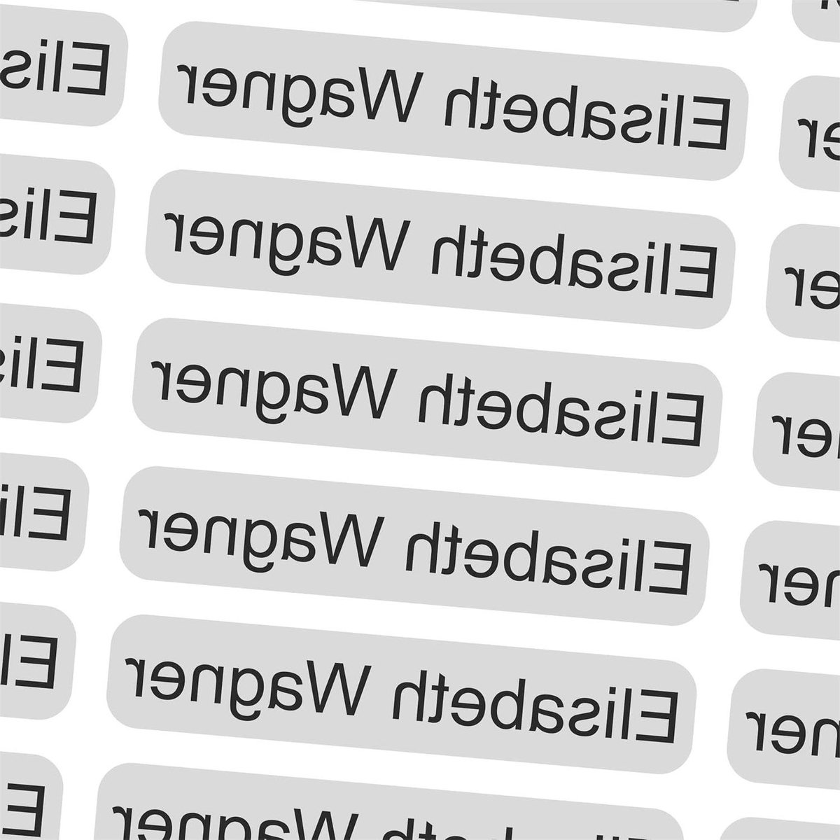 Naamstickers - Naamlabels Persoonlijke stickers - Eigendommen markeren - Gelamineerd en UV-bestendig - 36x7mm - Grijs